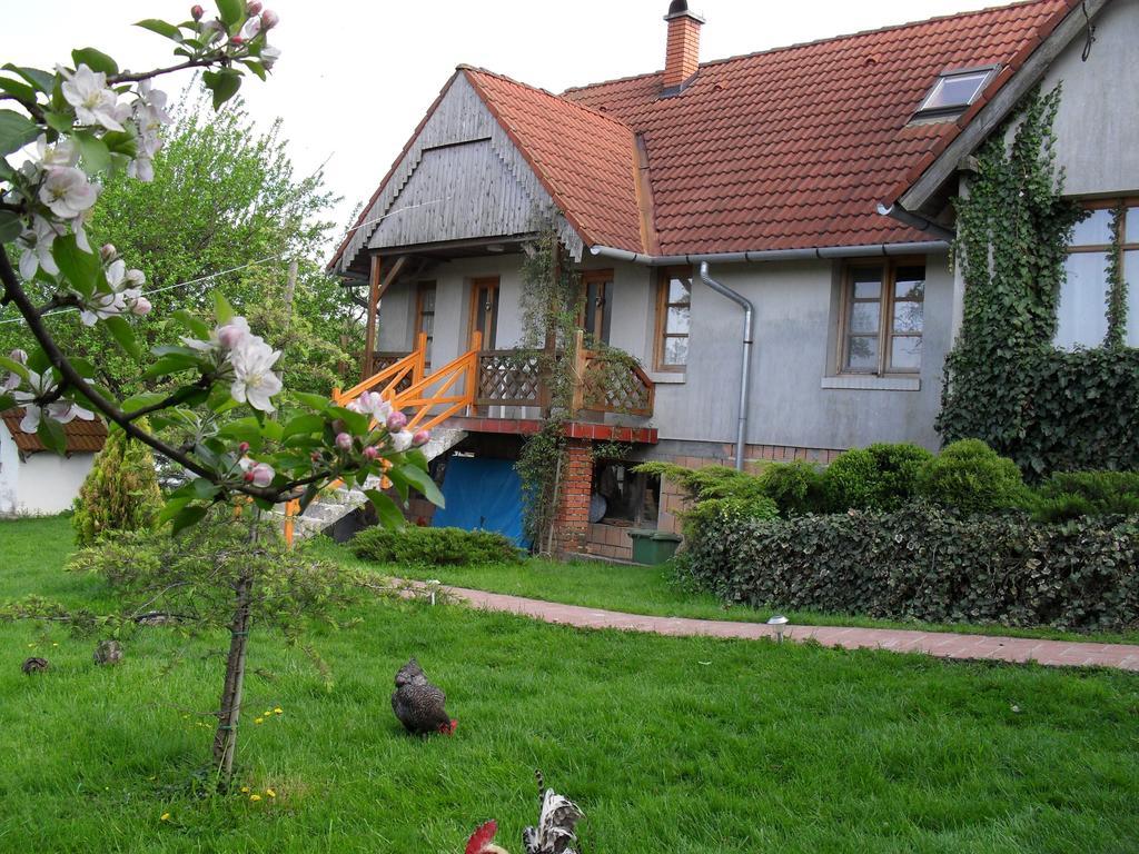 Apartament Hoffmann Vendeghaz Nagyrákos Pokój zdjęcie